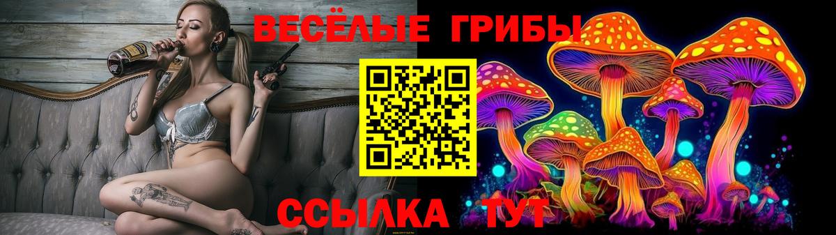 Галлюциногенные грибы MAGIC MUSHROOMS  даркнет сайт  Дивногорск  Вход с VPN 